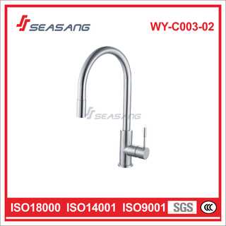Stainless Steel Pull-out Kitchen Faucet WY-C003-02