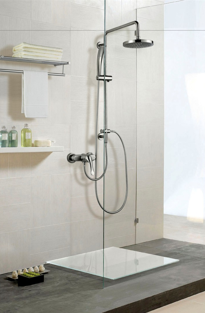 Stainless Steel Single Handle Rainfall and Hand-Held Bathroom Shower