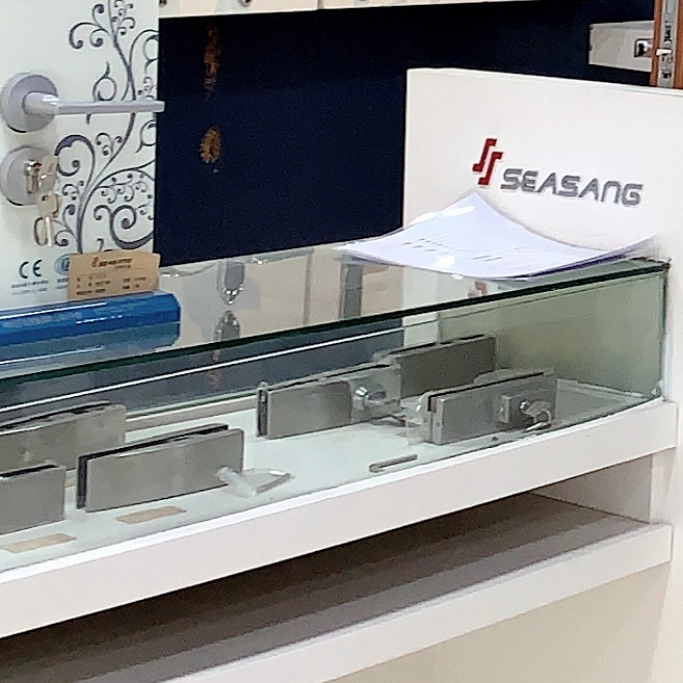 Exploring the World of Glass Door Hinges: Pivot vs. Hinged Doors